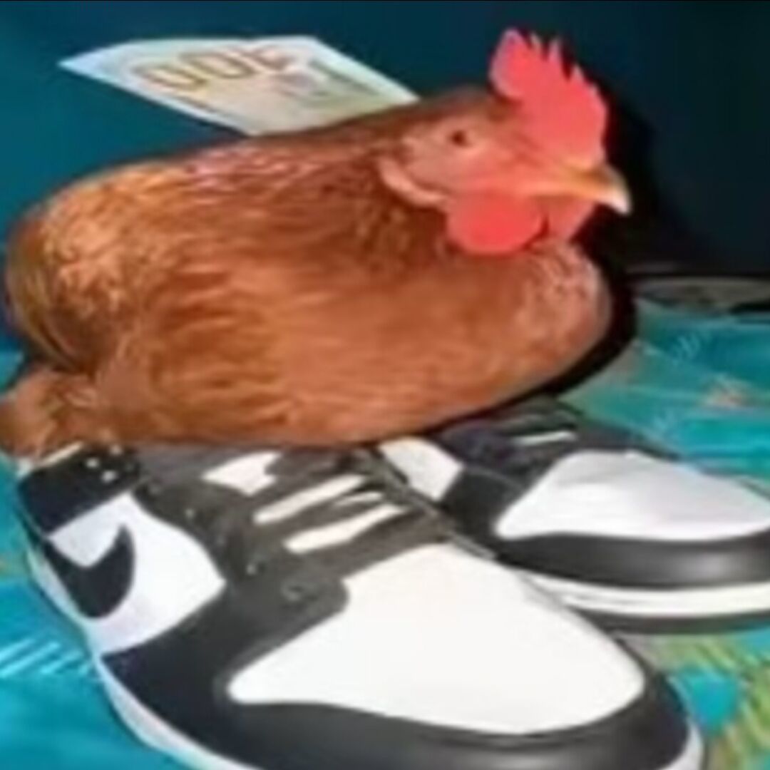 画沙