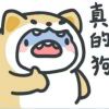 依轩的头像-七玩网