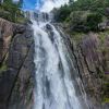 Fred_556