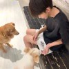 user80522096的头像-iPA资源站