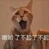 古温君的头像-魔酷网
