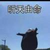 qwer1234qwer的头像-魔酷网