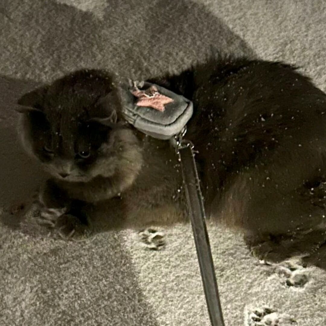 不知道叫什么_193