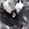 天津下小雨.