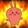 曲奇饼