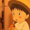 Passer_534