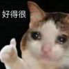 3Duo的头像-魔酷网