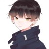 user81667110的头像-iPA资源站