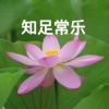 纯棉天花板的头像-长游分享网