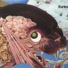 尼采超人的头像-淇云博客-专注于IT技术分享