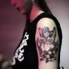 WingSen的头像-iPA资源站