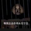 静听寡言