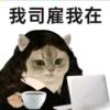 我才没有想H