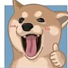 一个菠萝
