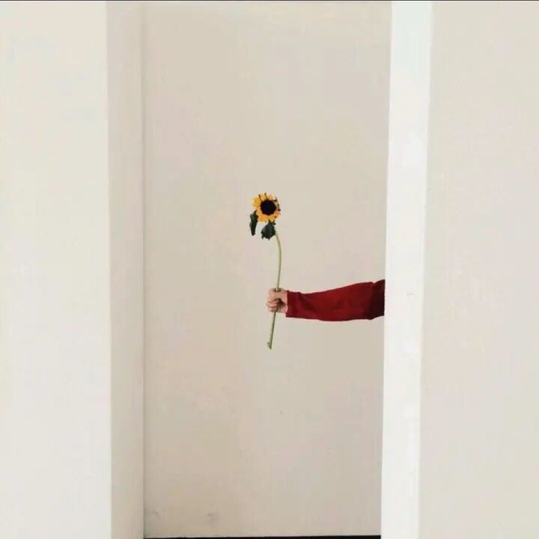所愿皆成真