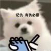 月明星稀