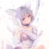 青鸢花