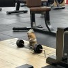 一份执着