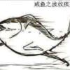 闲鱼不是咸鱼