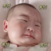 揽月人