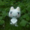 一只猫躺在草地上🌿😺🍀