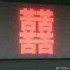 肯塔基钢蛋儿