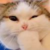 ༺❀ൢ༒❀ൢ