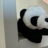小数点的个人空间