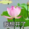 Lcpeng的头像-魔酷网