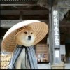 冰炎的头像-七玩网资源站