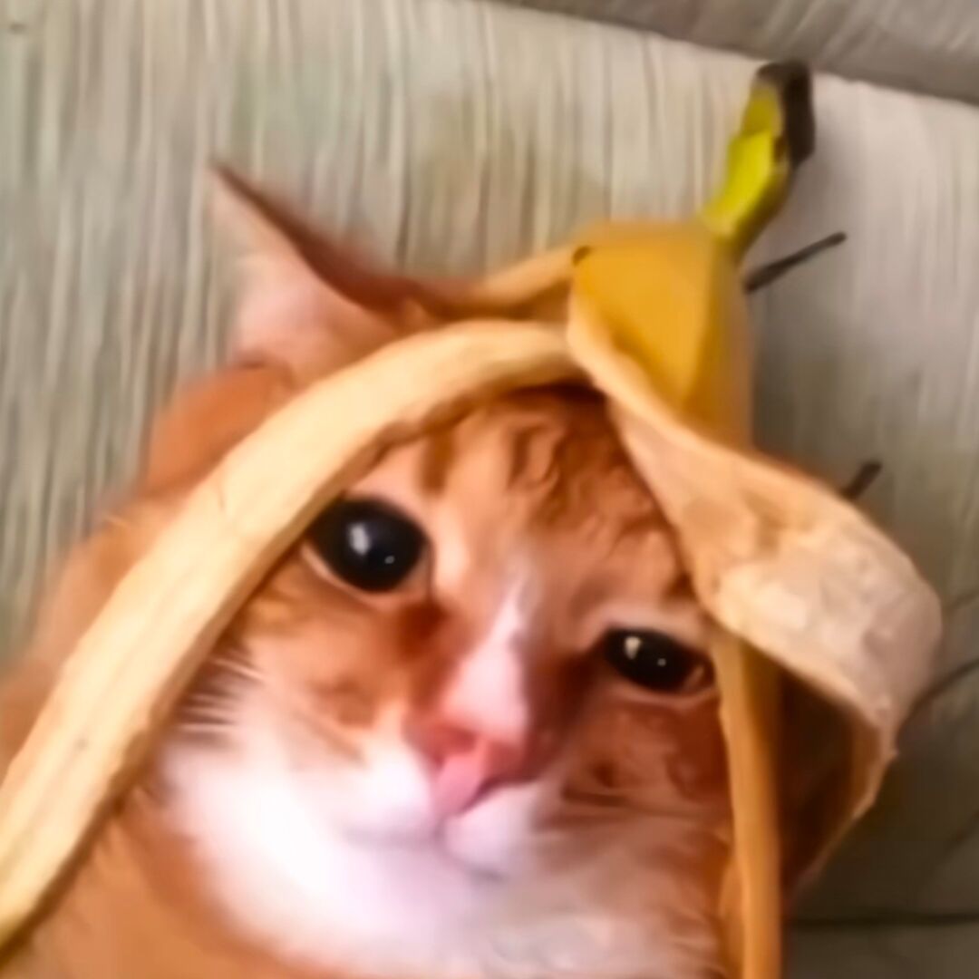不醒人事