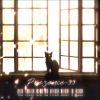 Presence-99的头像-魔酷网
