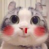 平凡先生。
