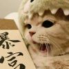 爱吃糖的小猫🐱的头像-七玩网