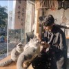 阴离子辅助