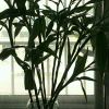 HGFD的头像-【TITAIKE】T太科网