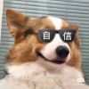 shous7的头像-魔酷网