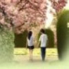 用户40829714的头像-澳门国际