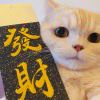 加菲猫的头像-七玩网