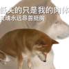 匿于暗夜
