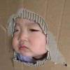 用户29103860的头像-iPA资源站