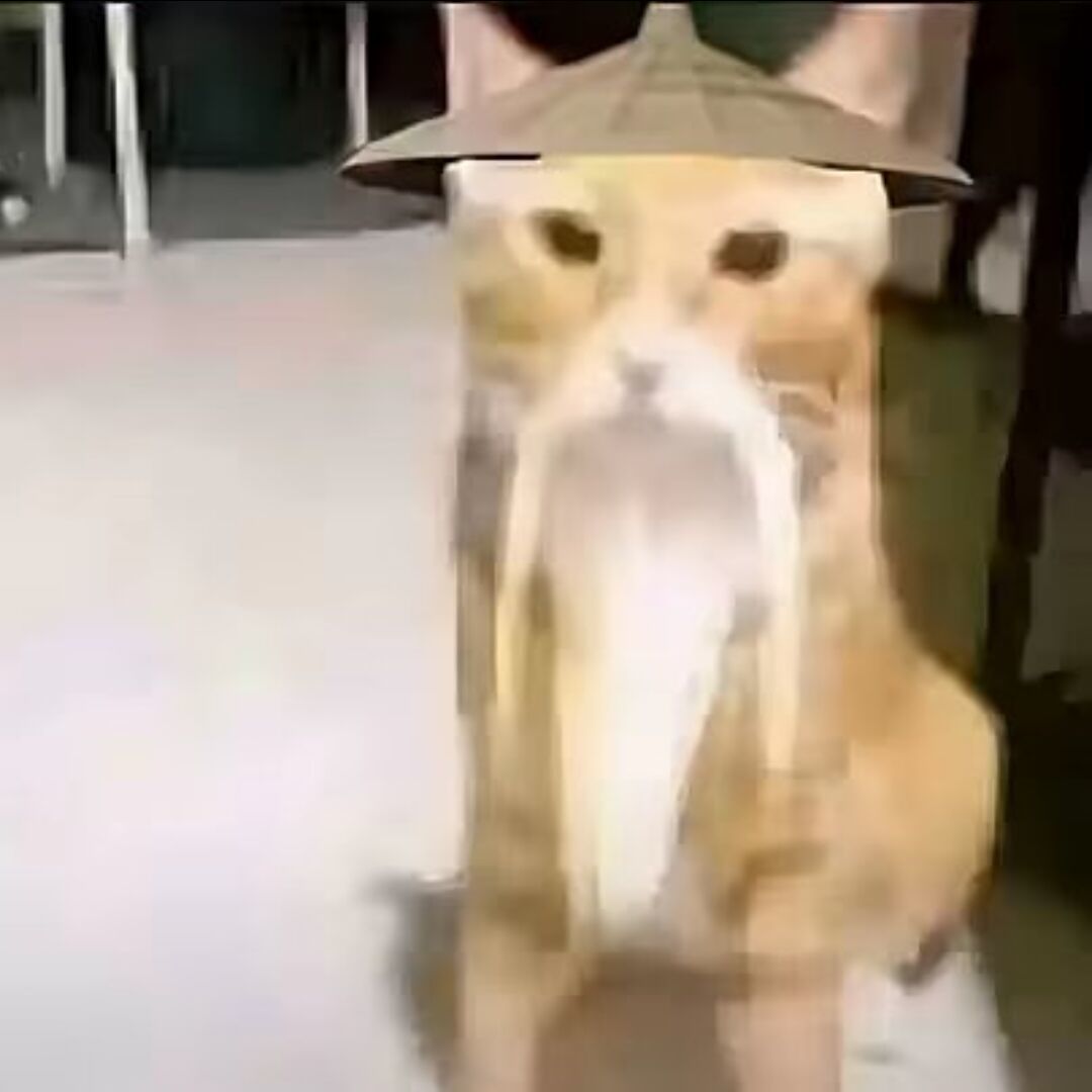 人_316