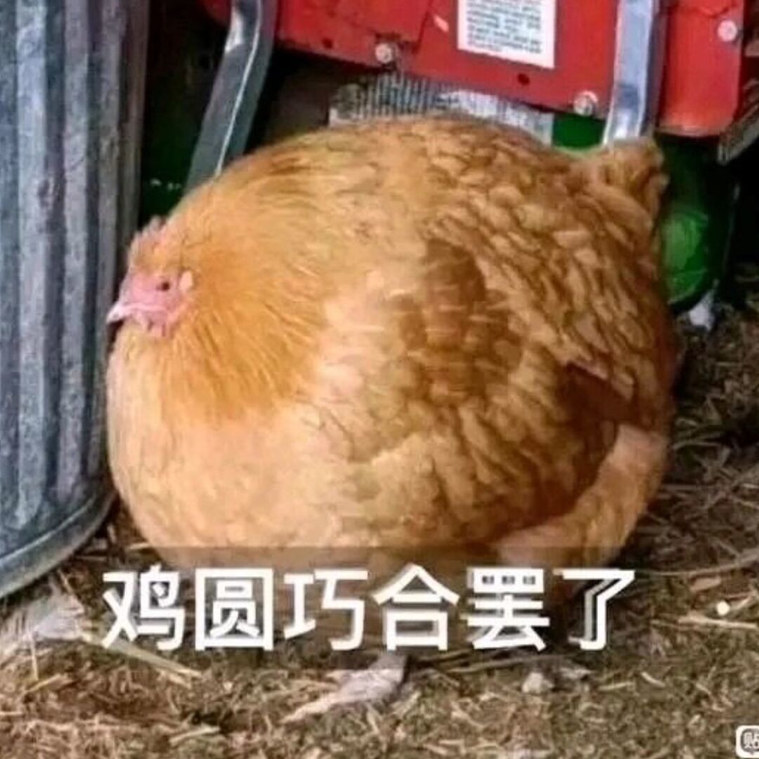 good_719