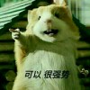 再回首可否不