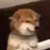 埋头