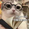浅若梨花笑
