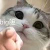 ⁡⁡⁣⁩⁧⁡