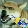 界刻苦