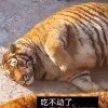 雅咩萝