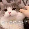 myshell的头像 - 极核GetShell